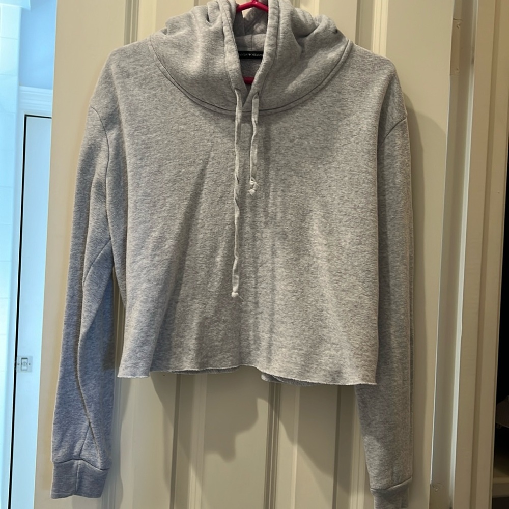 BRANDY MELVILLE grey cropped hoodie